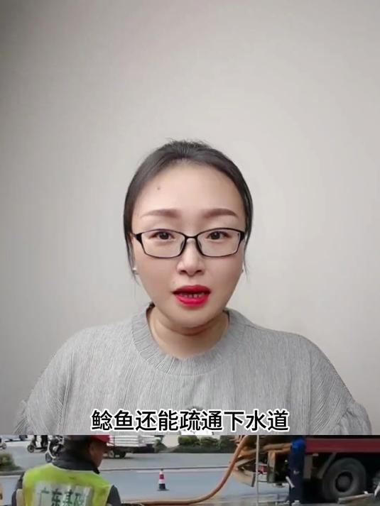 工人疏通下水道吸出大量埃及鲶鱼