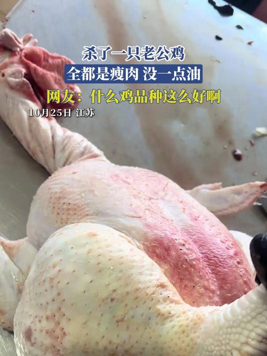 杀了一只老公鸡,全都是瘦肉,没一点油,网友:什么鸡品种这么好
