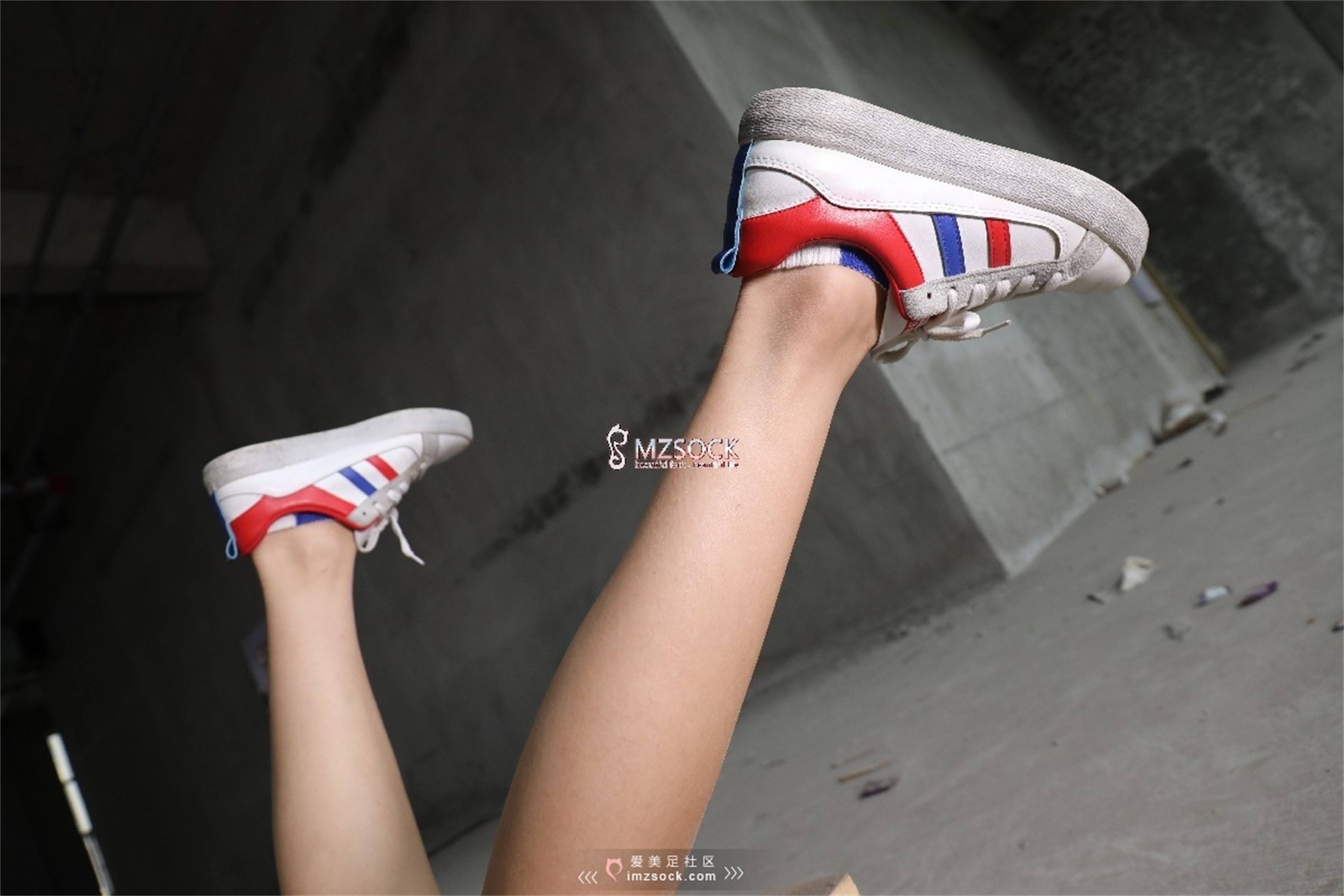 图片[102]-[MZSOCK]爱美足 NO.066 叮叮[102P238M]-六色网