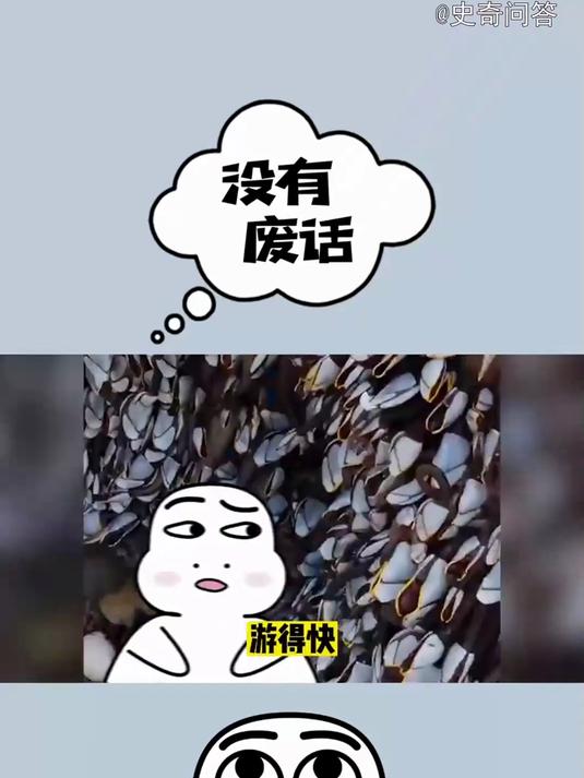 没有废话!吃鸡为什么叫吃鸡?