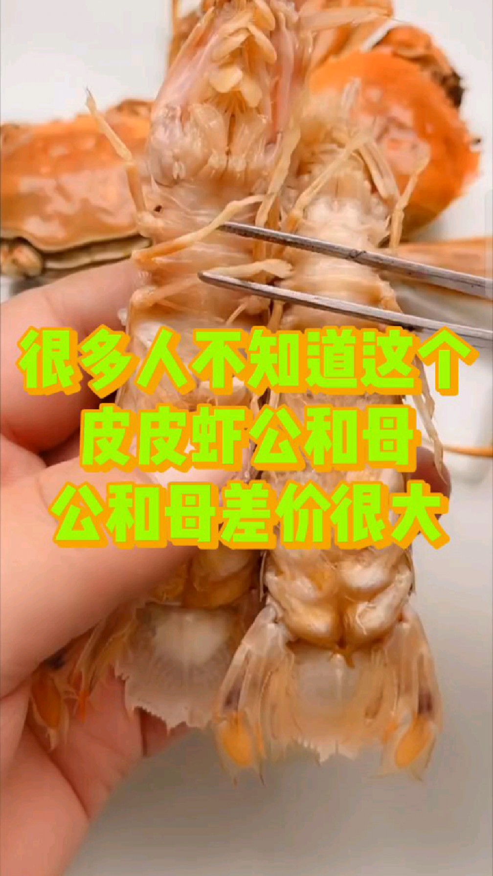 很多人不知道这个皮皮虾公和母,公和母的差价很大?