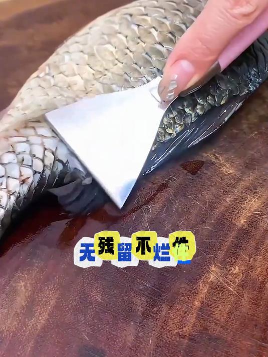 这款不锈钢鱼鳞刨用起来非常方便,刮鱼鳞轻松搞定不伤鱼鳞不伤手