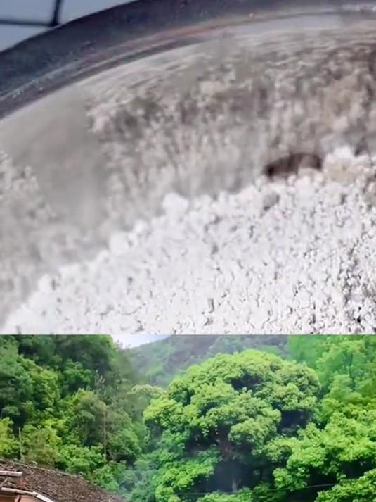 长者宜食家常馔!软炒鸡蛋嫩,不油不腻,味尤香