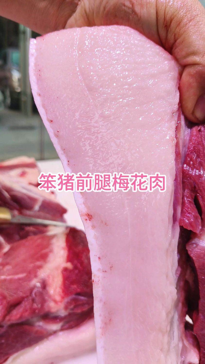 看看笨猪前腿梅花肉