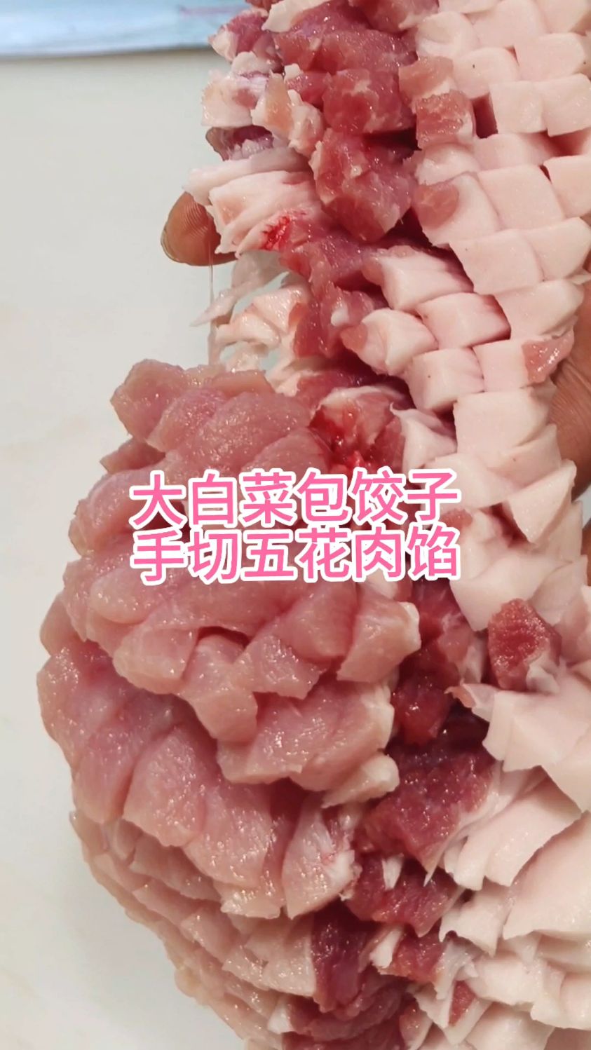 大白菜包饺子,手切五花肉馅