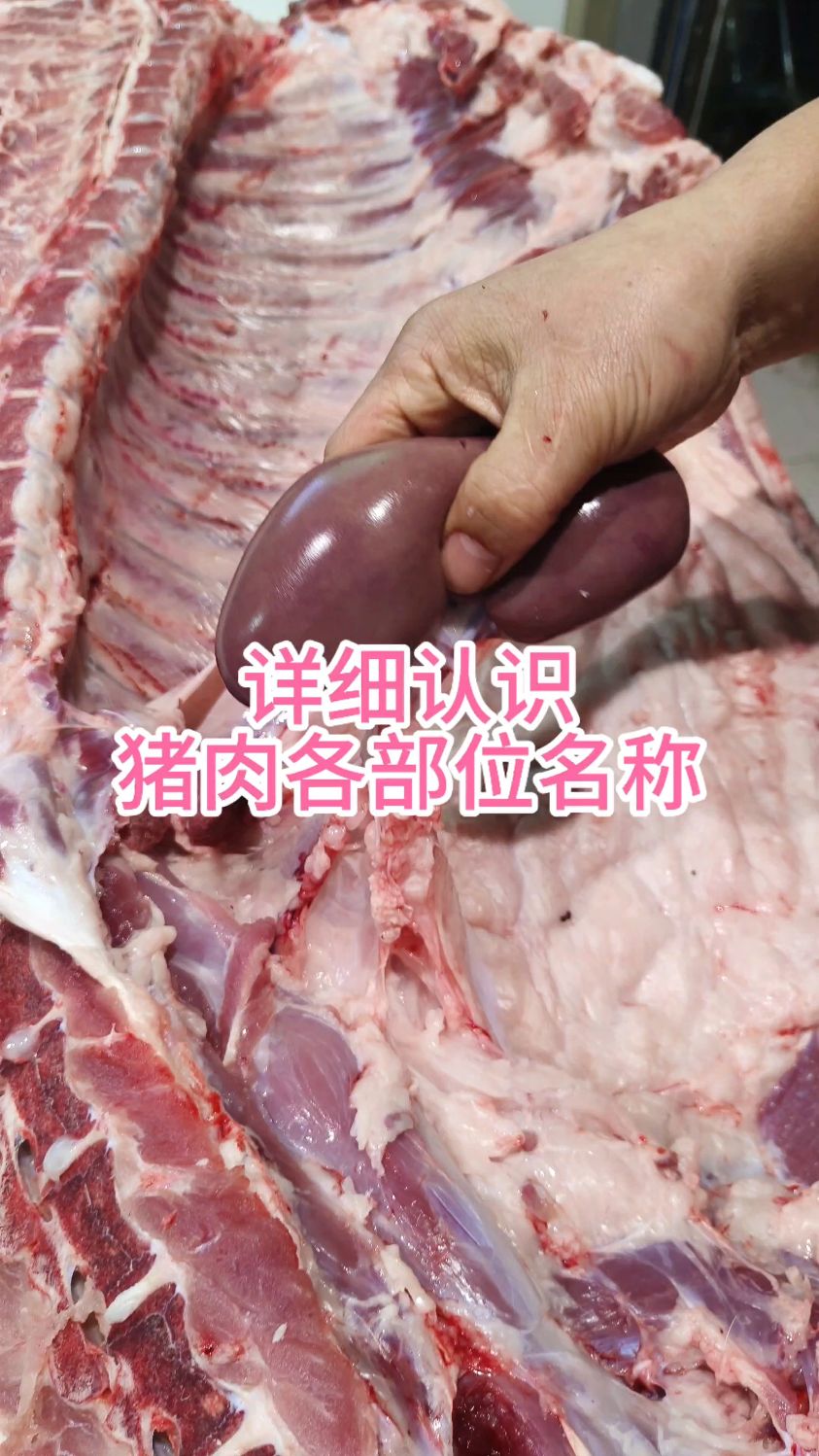 详细认识猪肉各部位名称