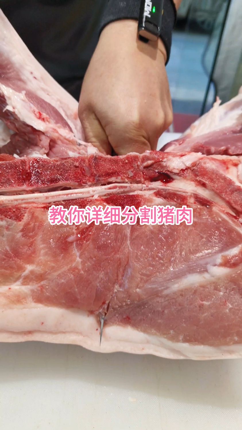 教你详细分割猪肉