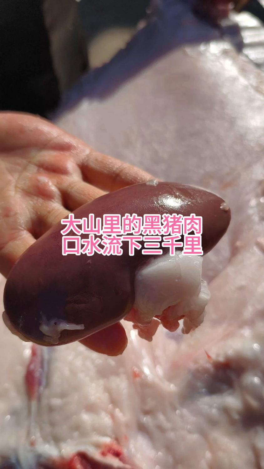 大山里的黑猪肉,口水流下三千尺