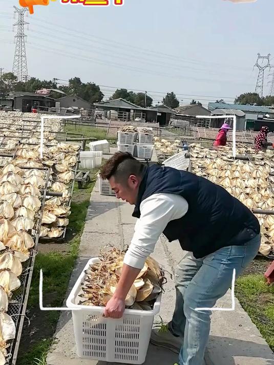 好物推荐墨鱼干头北海海鲜干货目鱼干煲汤炖煮炒菜