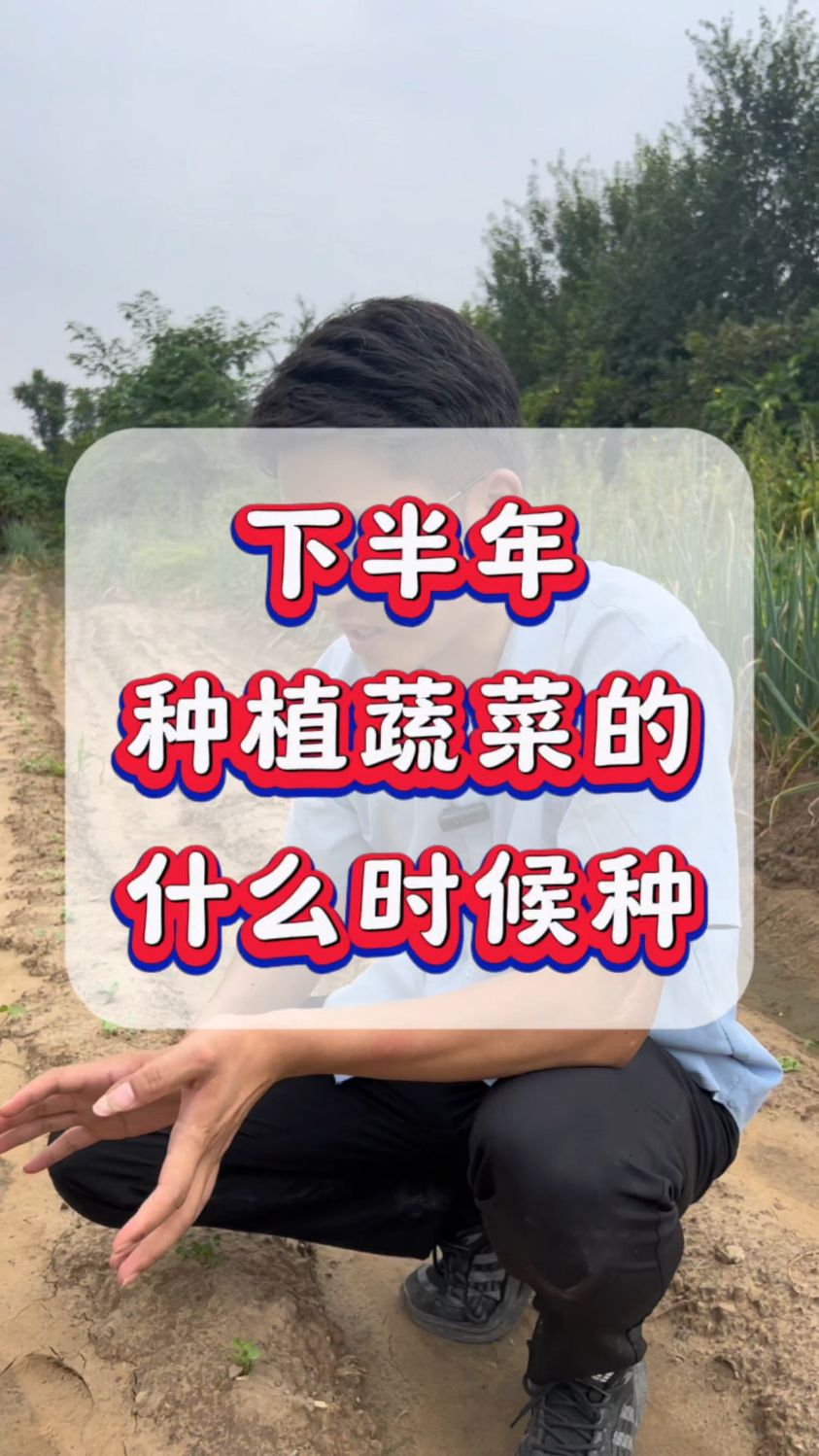 下本年种植蔬菜什么时候种植