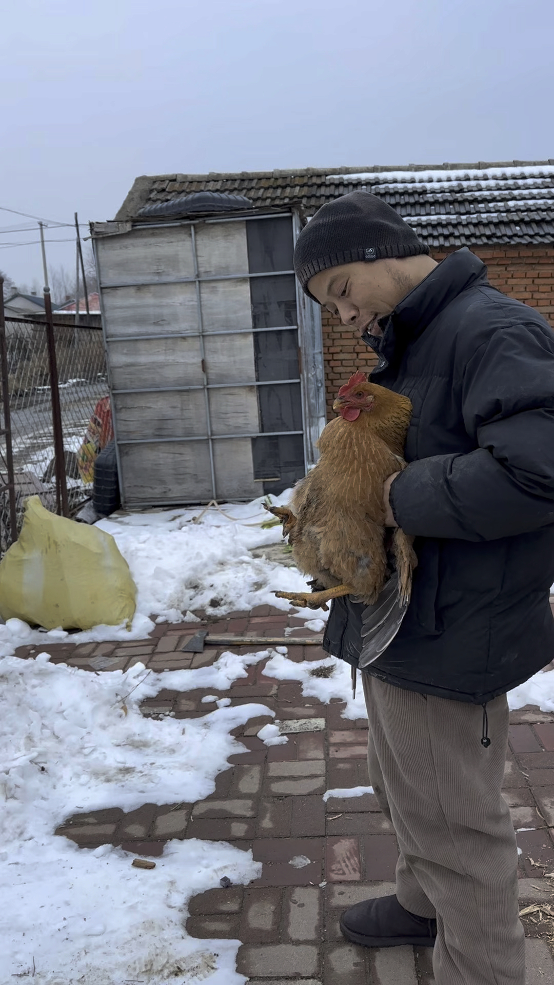 小鸡炖蘑菇嘎嘎香