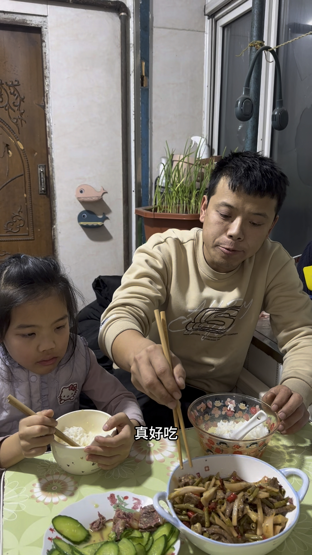 猫冬的幸福生活,一宁做的牛肉炒泡菜嘎嘎香