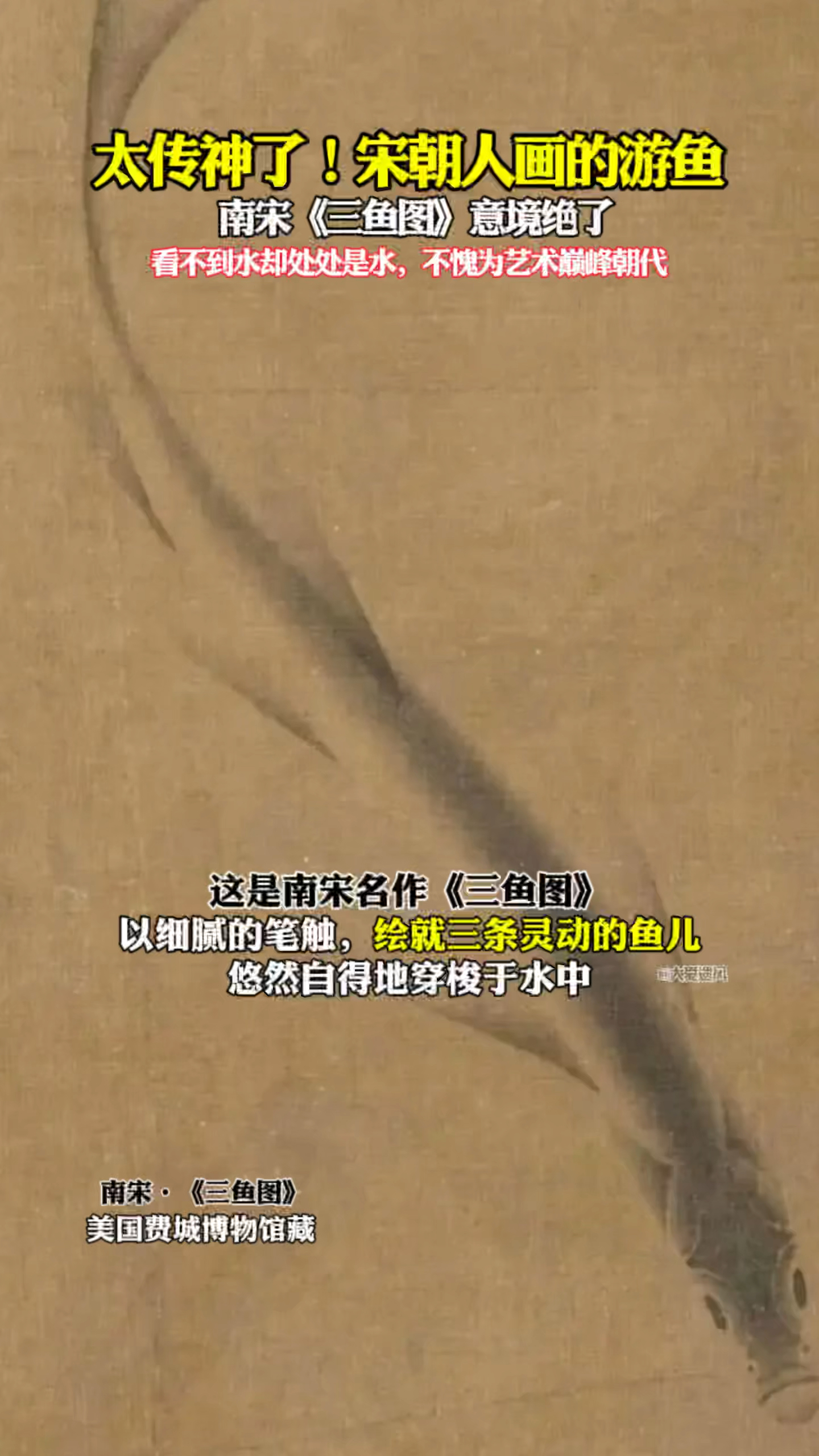 太传神了!宋朝人画的游鱼,意境令人沉醉!