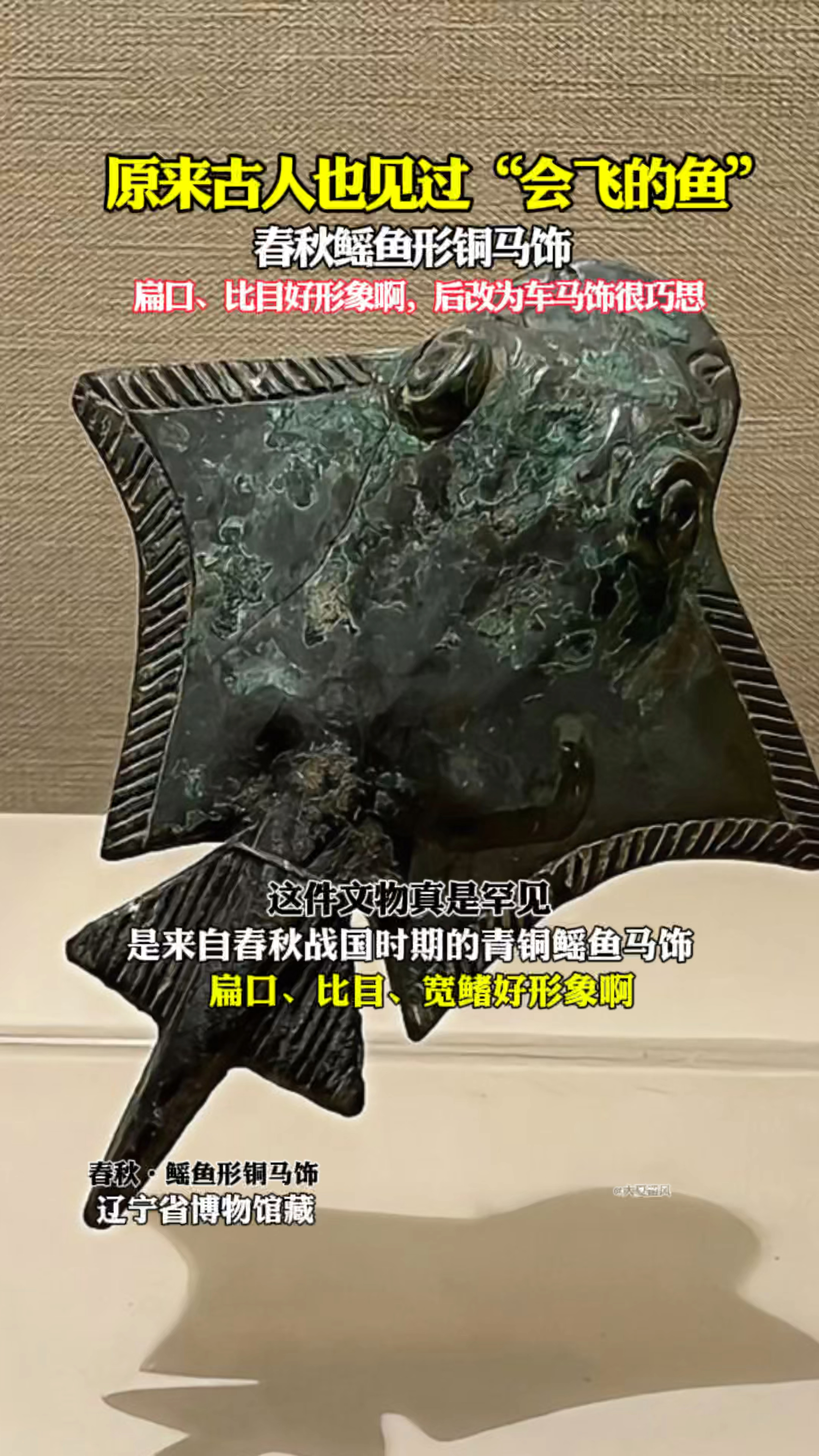 原来古人也见过“会飞的鱼”,做得可真像啊!