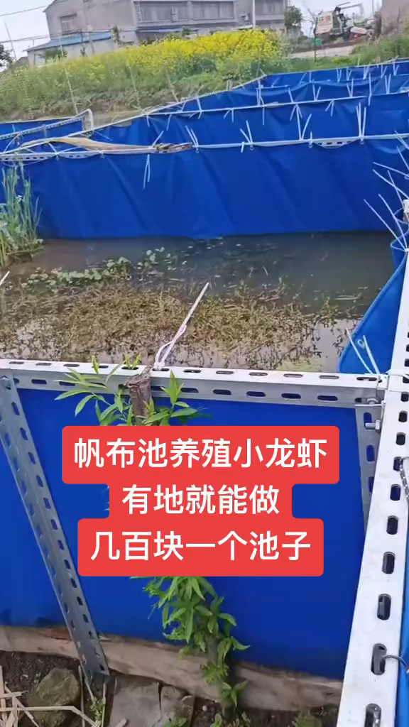 帆布池养殖小龙虾