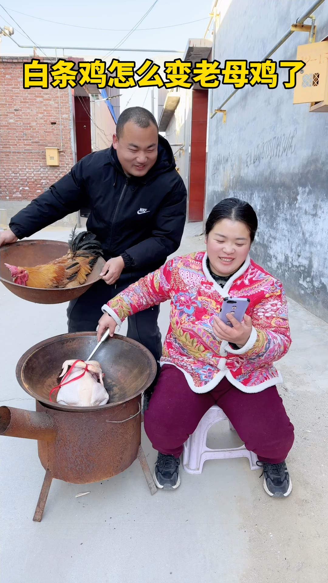 白条鸡怎么变老母鸡了