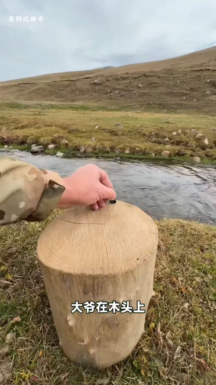 大爷在木头上画了一个十字,直接用斧头破开,开始烤鱼