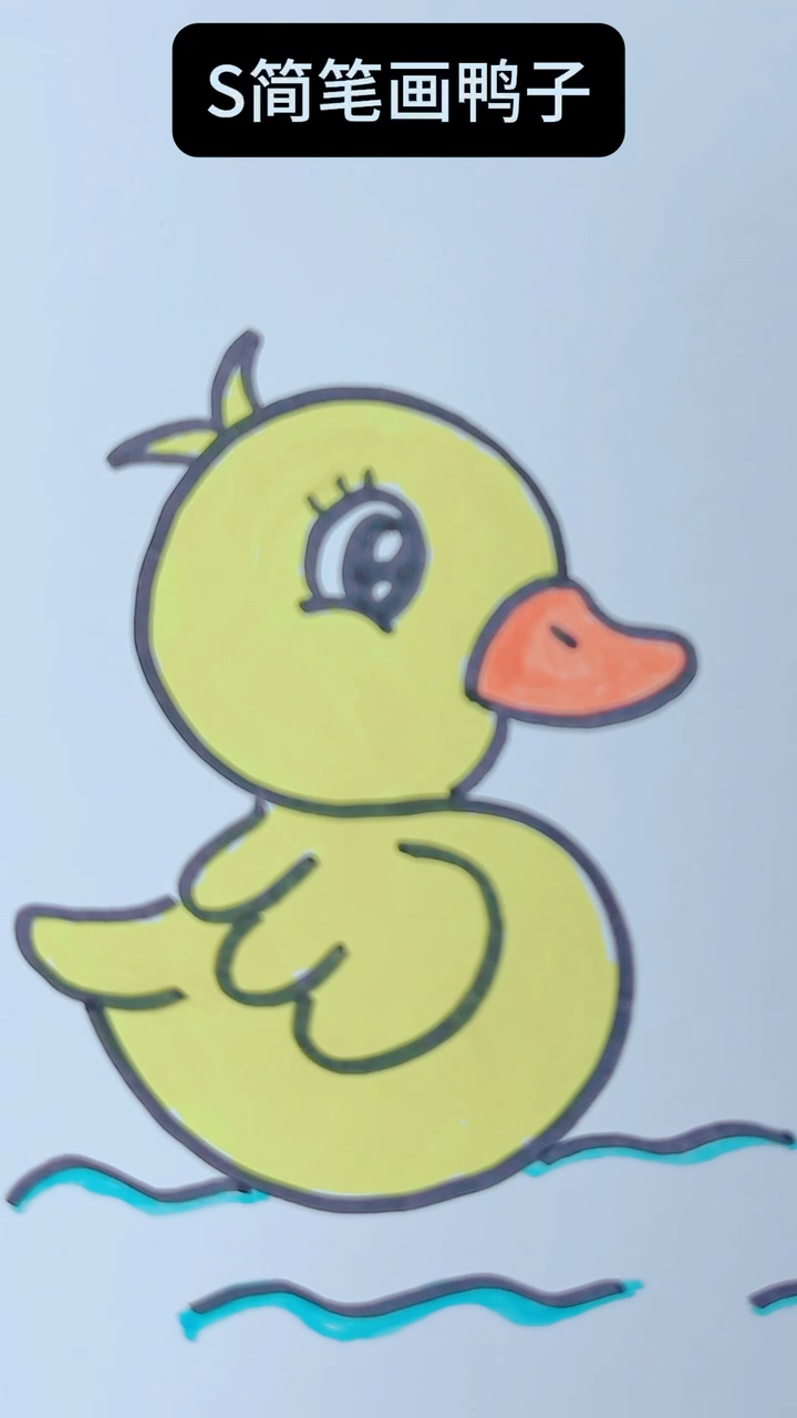 S简笔画小鸭子