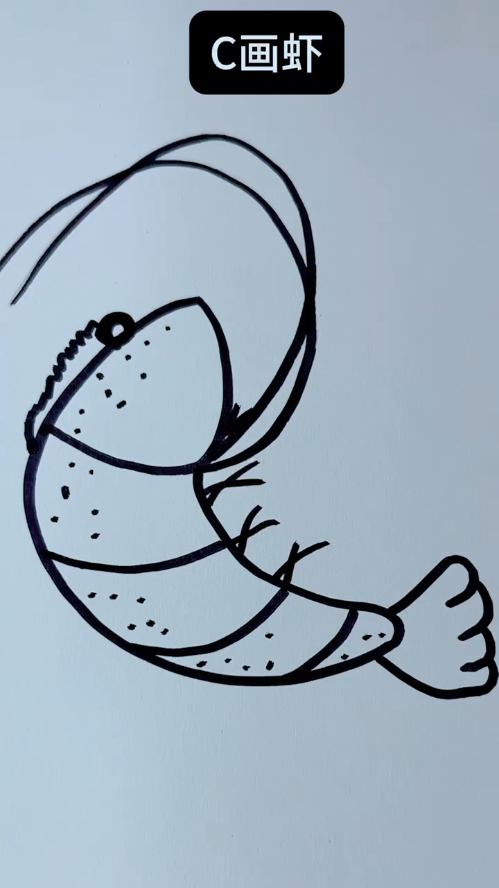 字母C简笔画虾