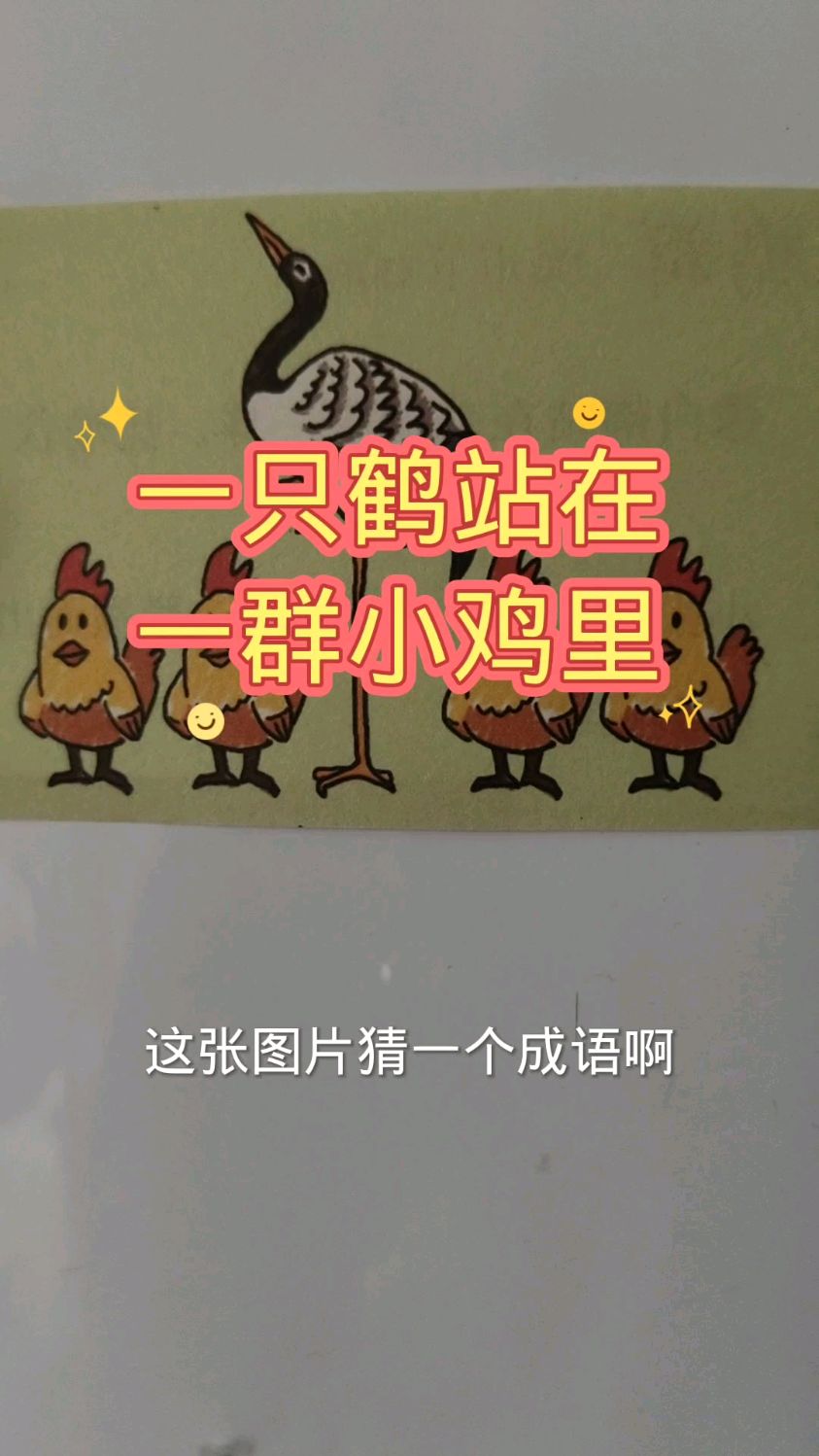 看图猜成语:一只鹤站在一群小鸡里