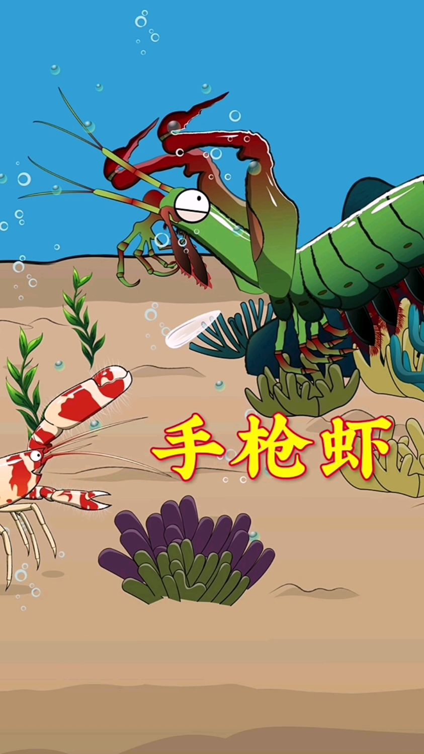 手枪虾VS螳螂虾,到底谁胜谁负?
