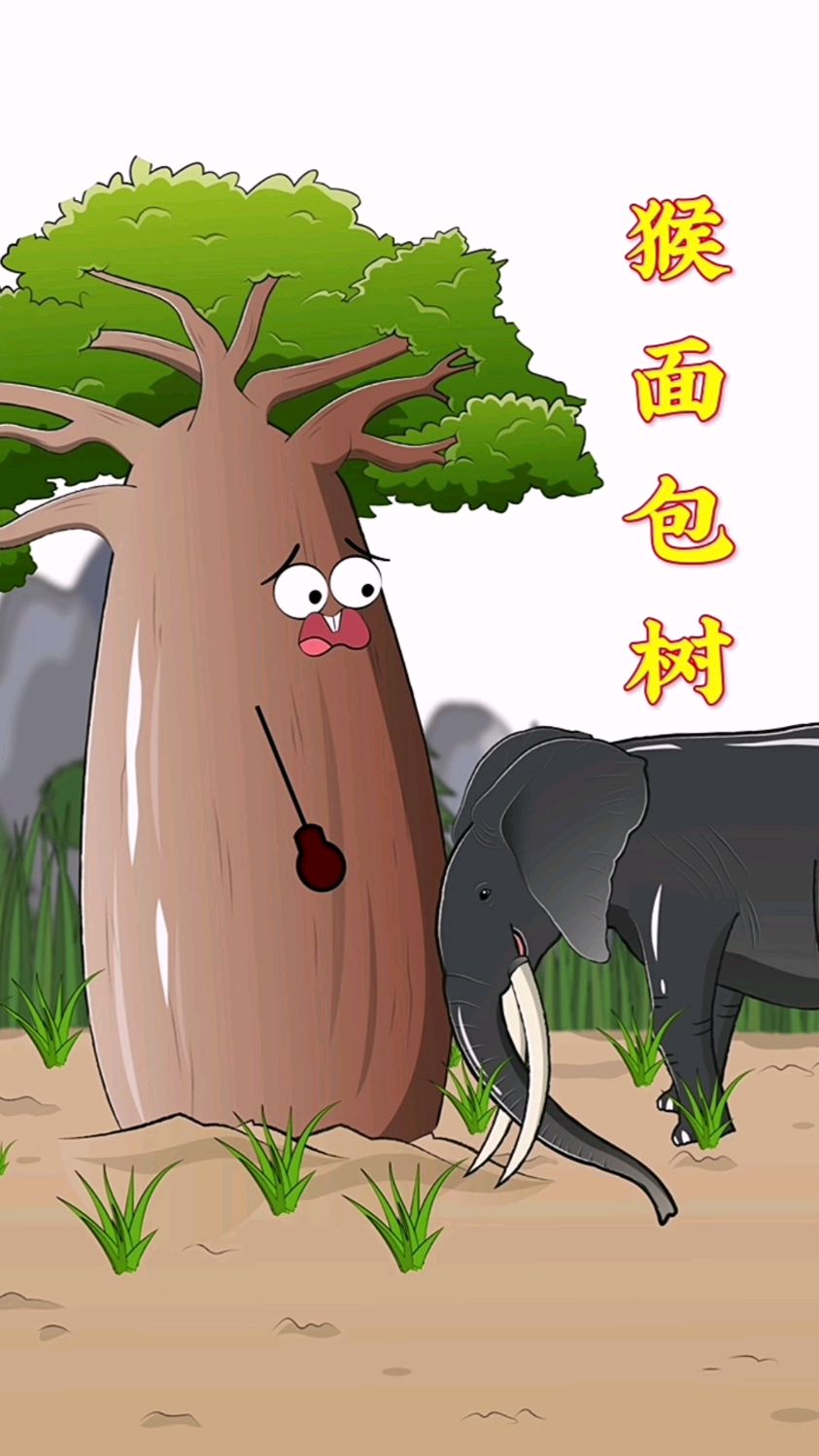 猴面包树在雨季会吸收很多水分以作备用!