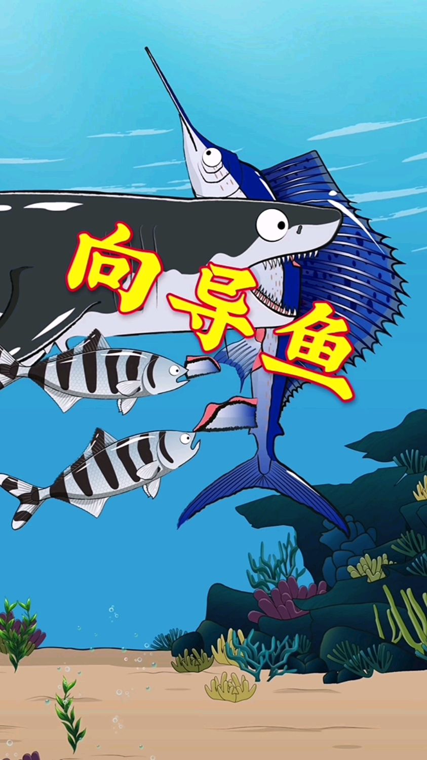 向导鱼能帮着鲨鱼捕获猎物,但它只能吃“残渣”