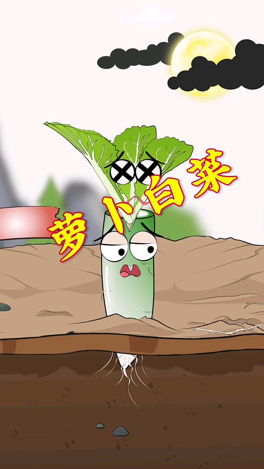 白菜、白萝卜都属于十字花科,当然可以嫁接!