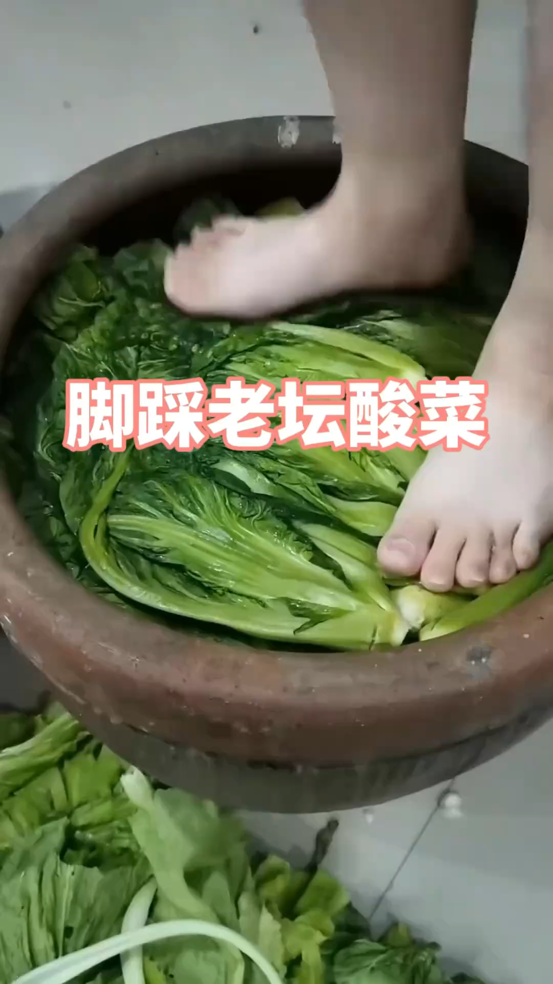 原来平时大家爱吃的酸菜,制作过程如此简单啊