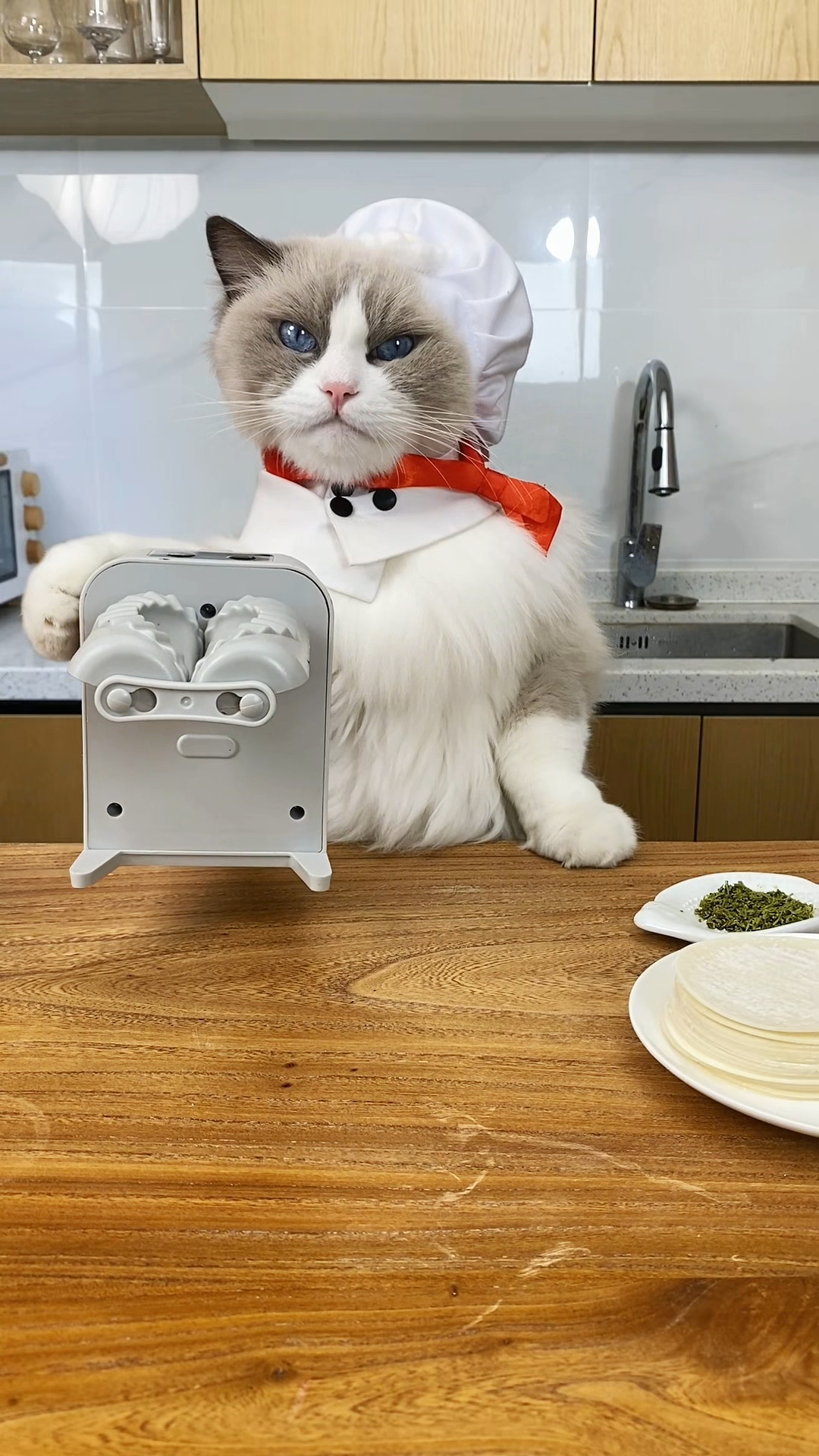 挑战做迪拜巧克力饺子!