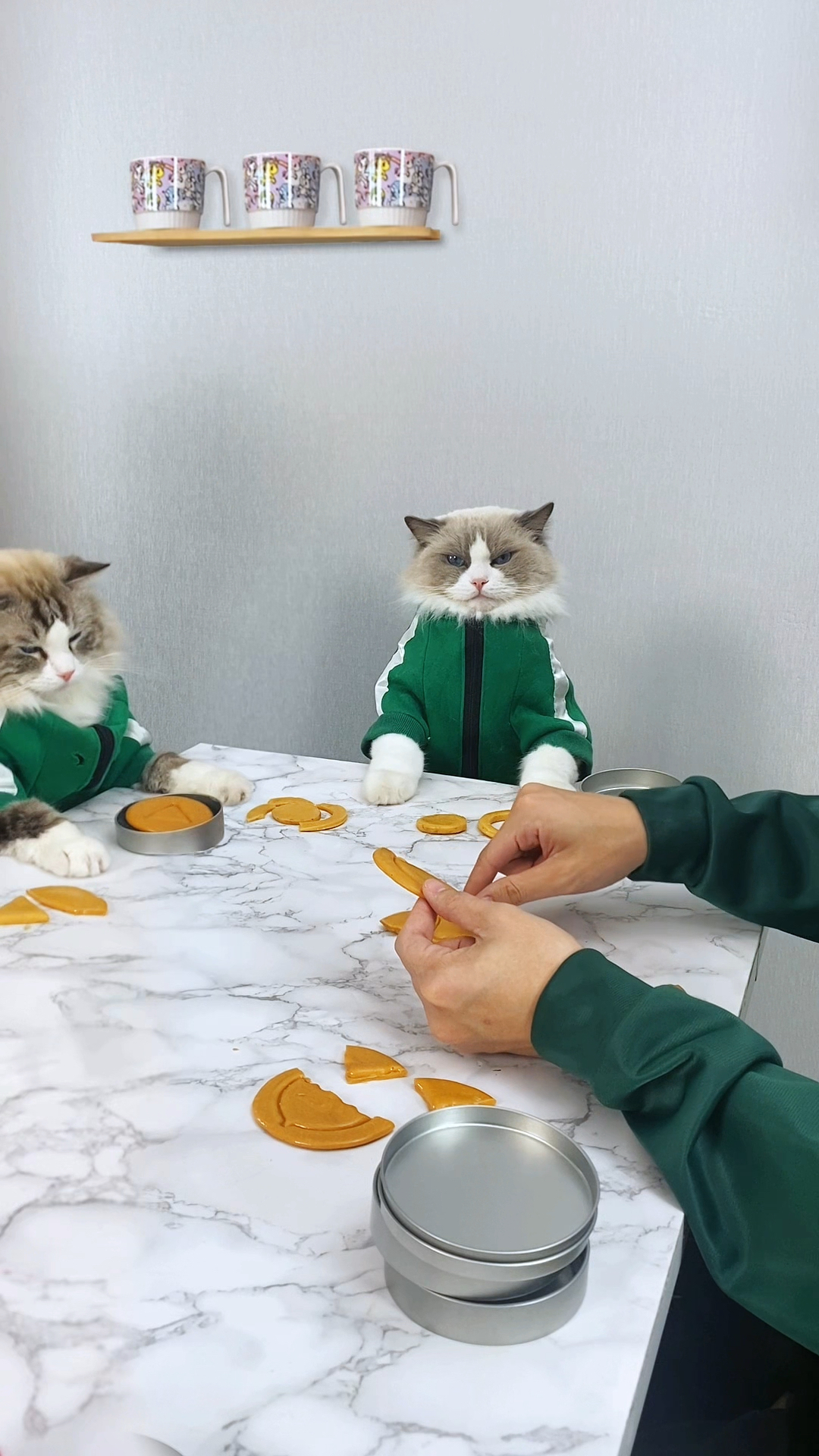 来和小Puff一起玩游戏叭～