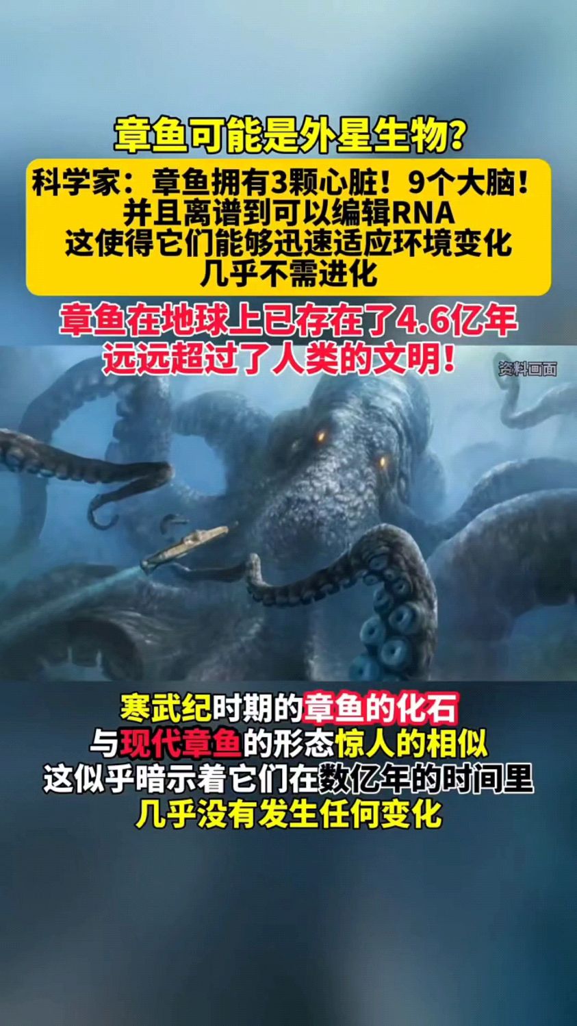 拥有3颗心脏和9个大脑的章鱼!为何会被怀疑是外星生物呢?