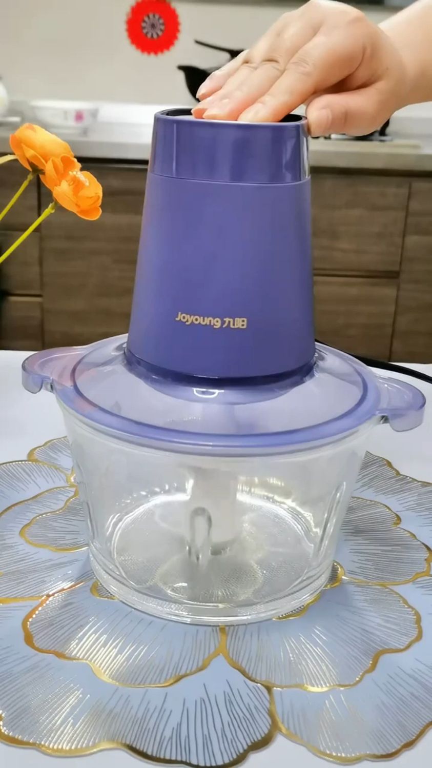 九阳绞肉机家用电动小型全自动多功能
