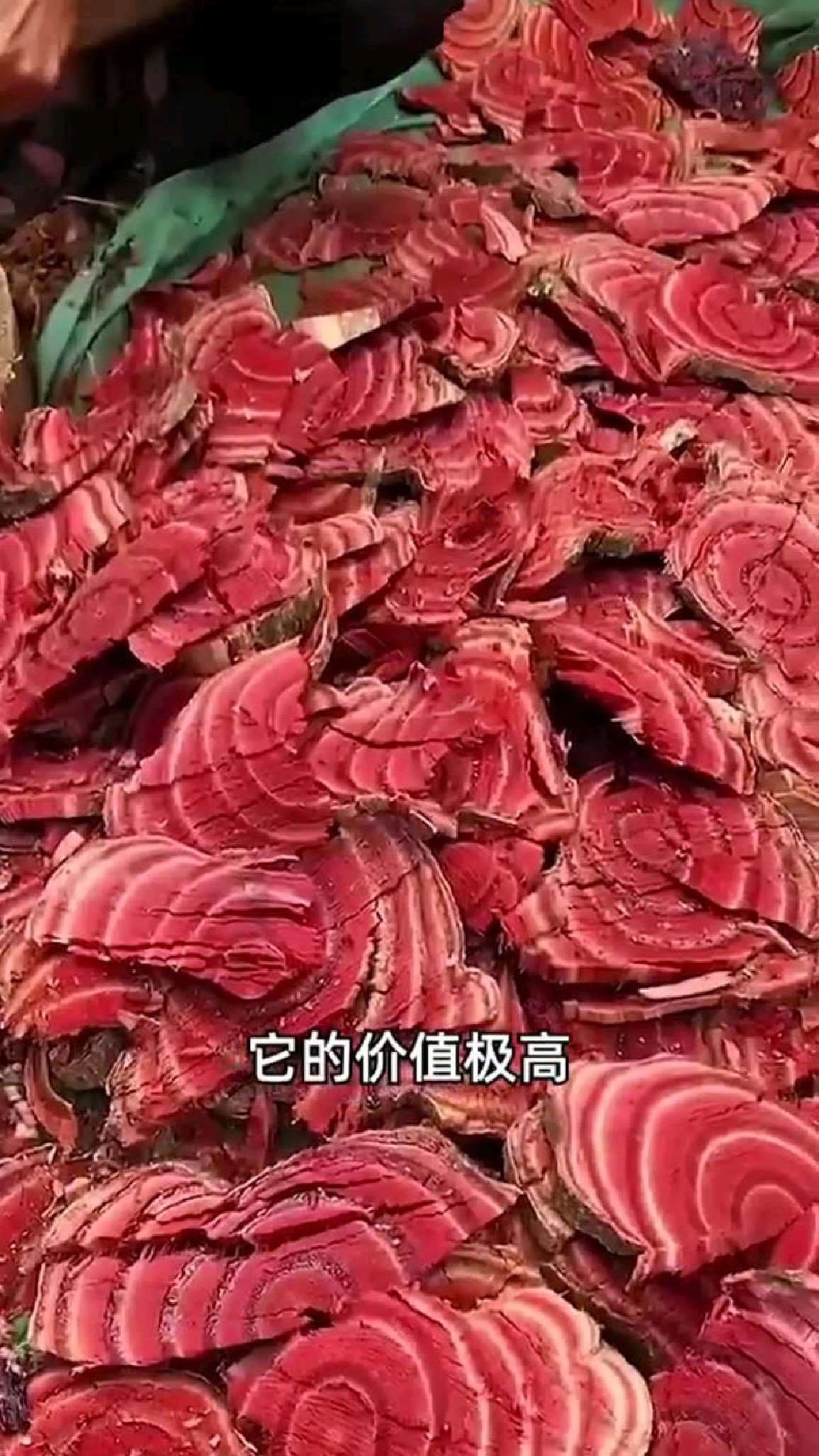每天带你认识一种中药材。女性好伴侣-鸡血藤