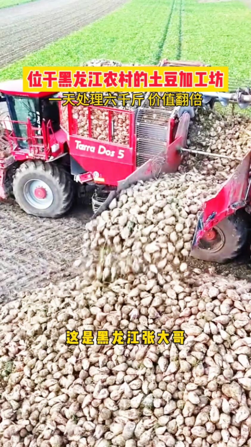 土豆烘干机,土豆片烘干机,蔬菜烘干机
