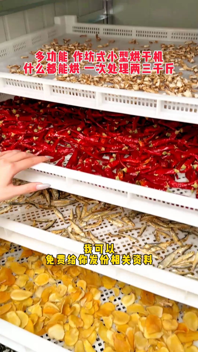 蔬菜烘干机,土豆烘干机,辣椒烘干机