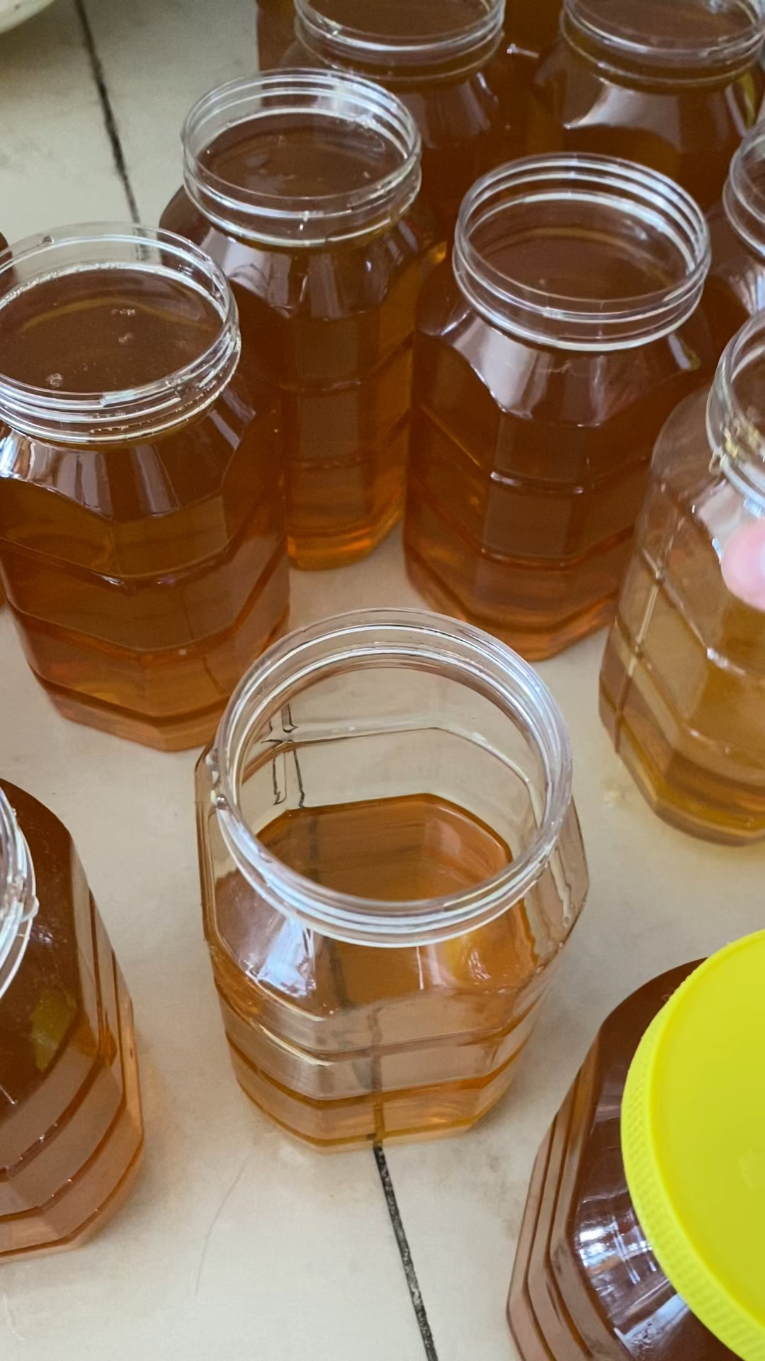 第一次有这么好鸭脚木冬蜜今天10斤减260