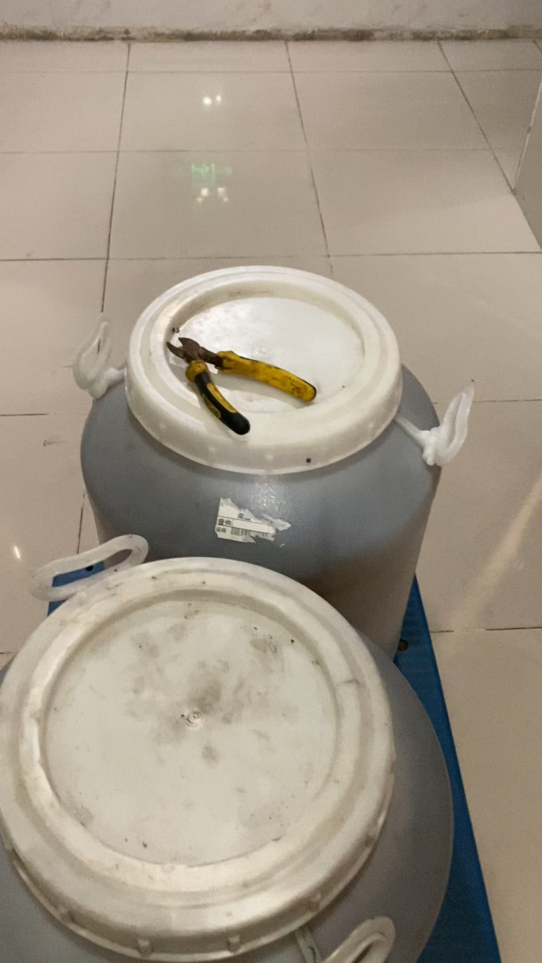 鸭脚木冬蜜清完糖底才能取到品质高的