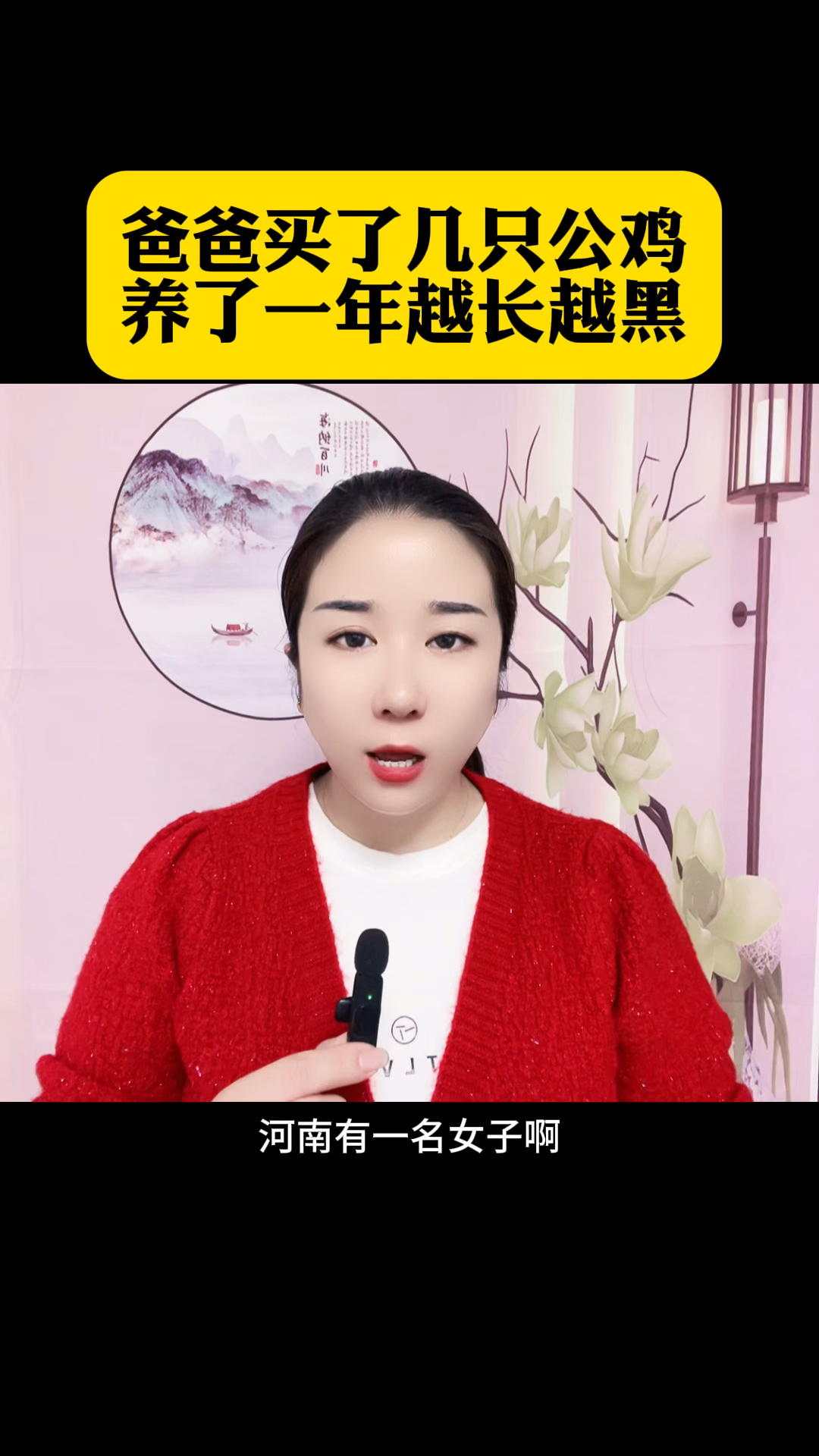 爸爸买了几只公鸡养了一年越来越黑