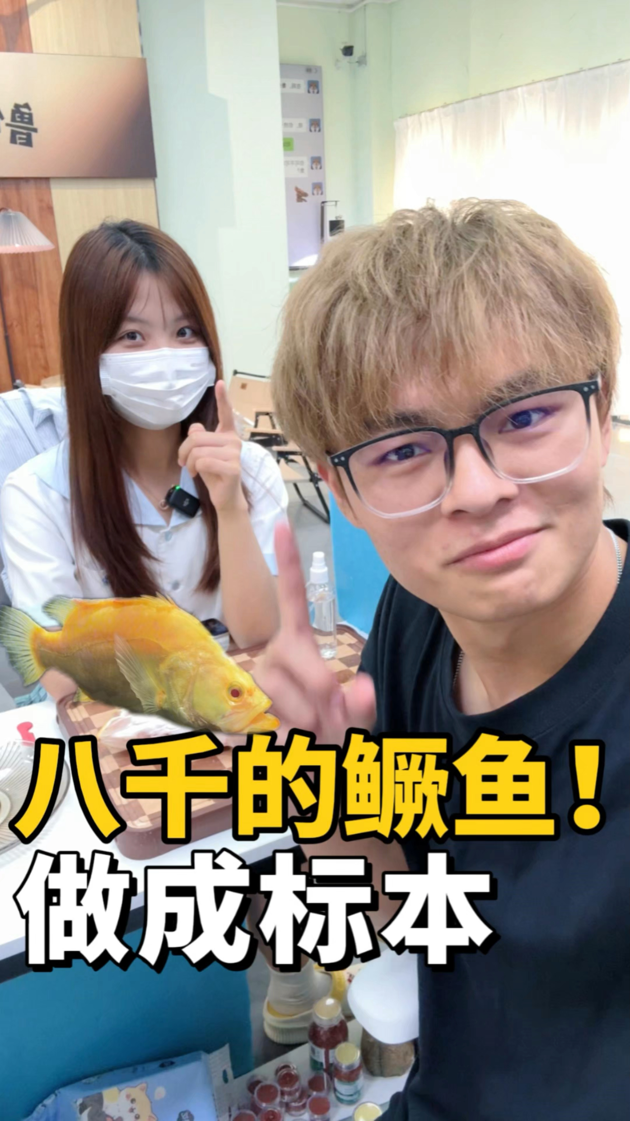 把价值8000的黄金鳜鱼做成了标本,将它永远封存起来