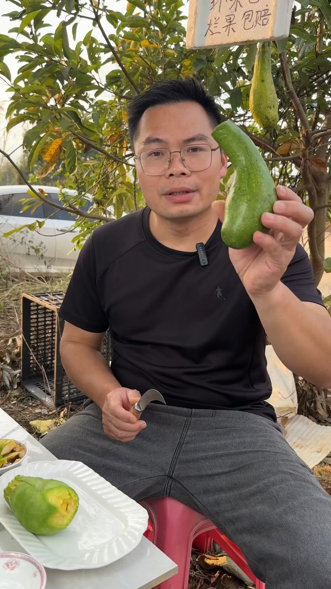 广西长条牛油果熟啦