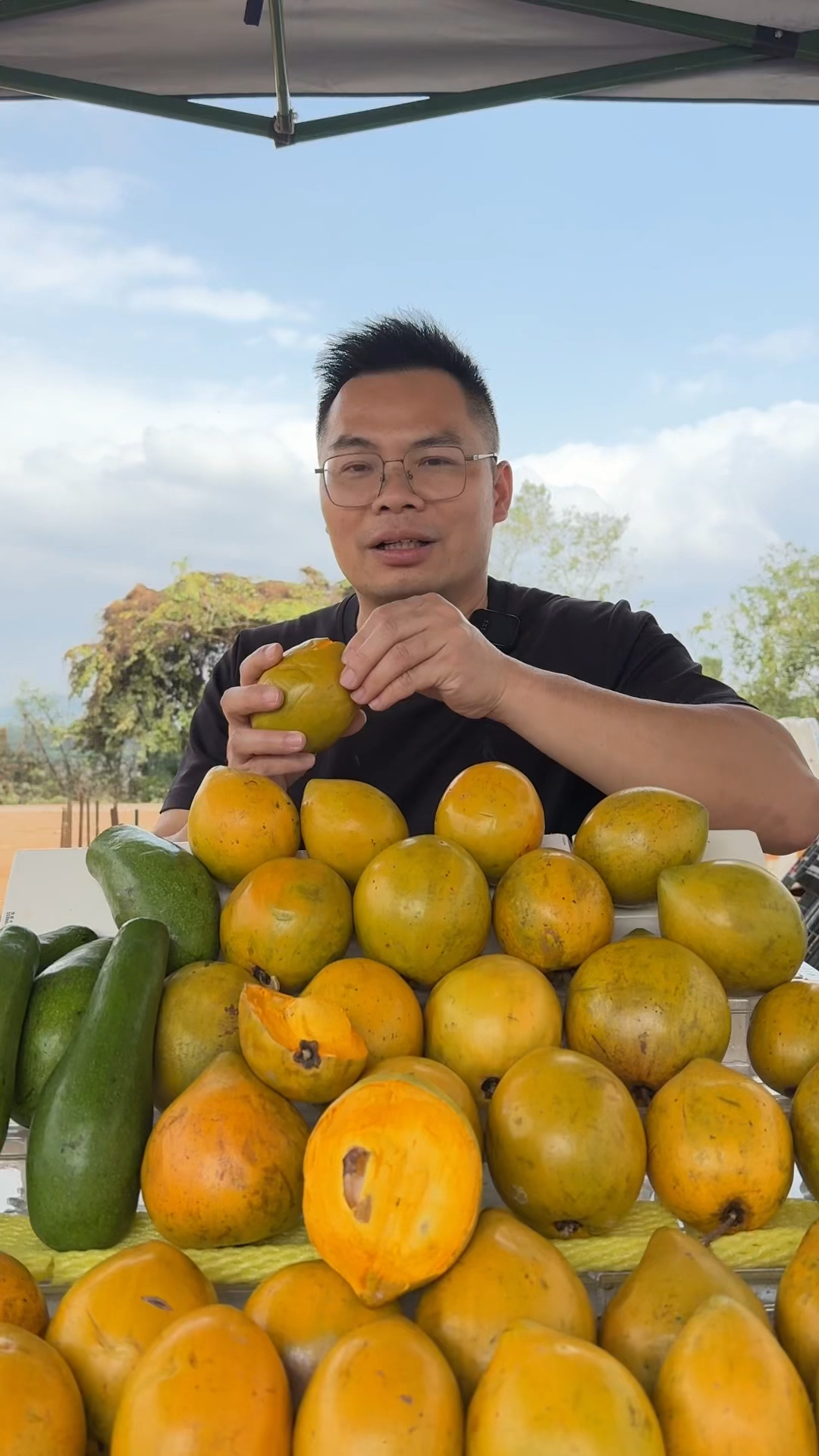 广西鸡蛋果粉糯香甜