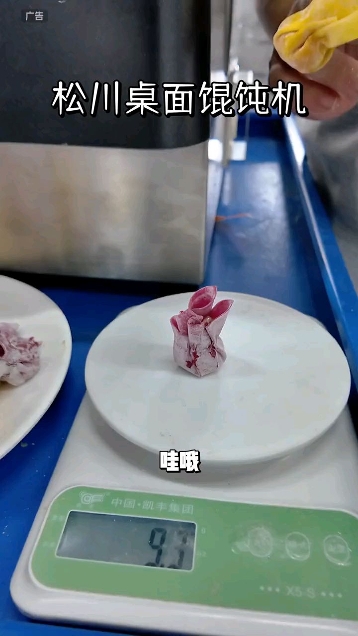 松川桌面馄饨机小巧精致产量高,生产速度与馅料都可以调.