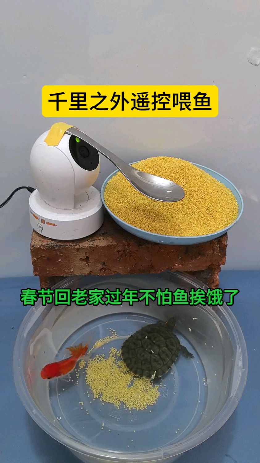 千里之外遥控喂鱼