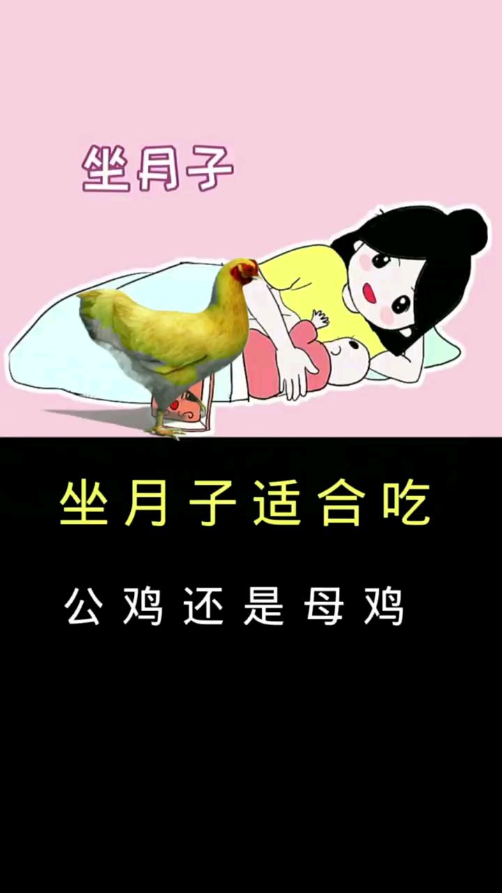 坐月子适合吃公鸡还是母鸡。