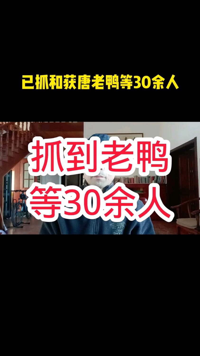唐老鸭等30余人已经入笼子