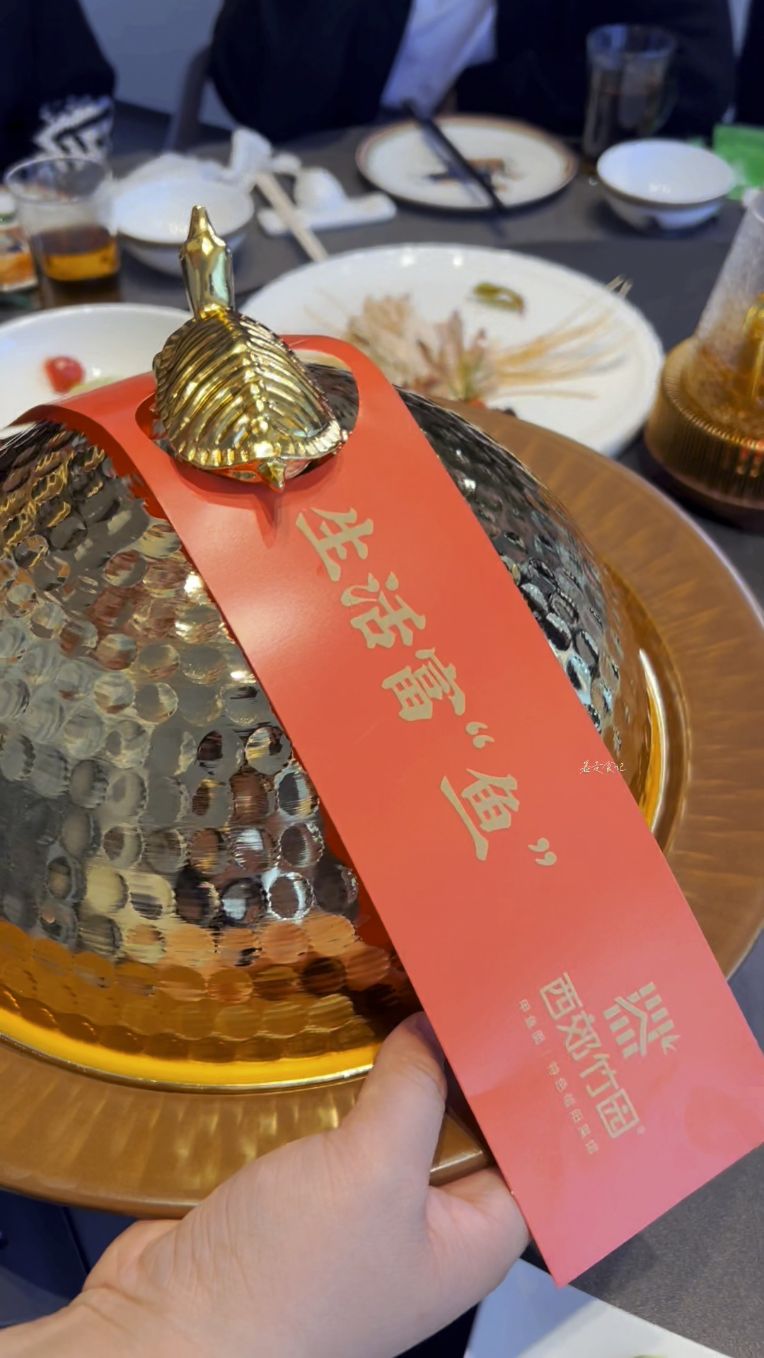 在郑州 西郊竹园甲鱼面好吃!潢川甲鱼,信阳焖罐肉,固始旱鹅块