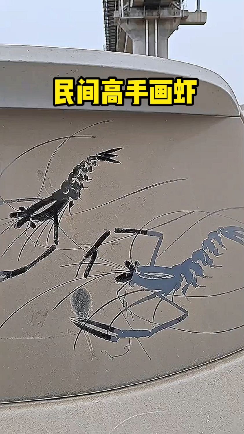 民间高手画虾,太秀了吧