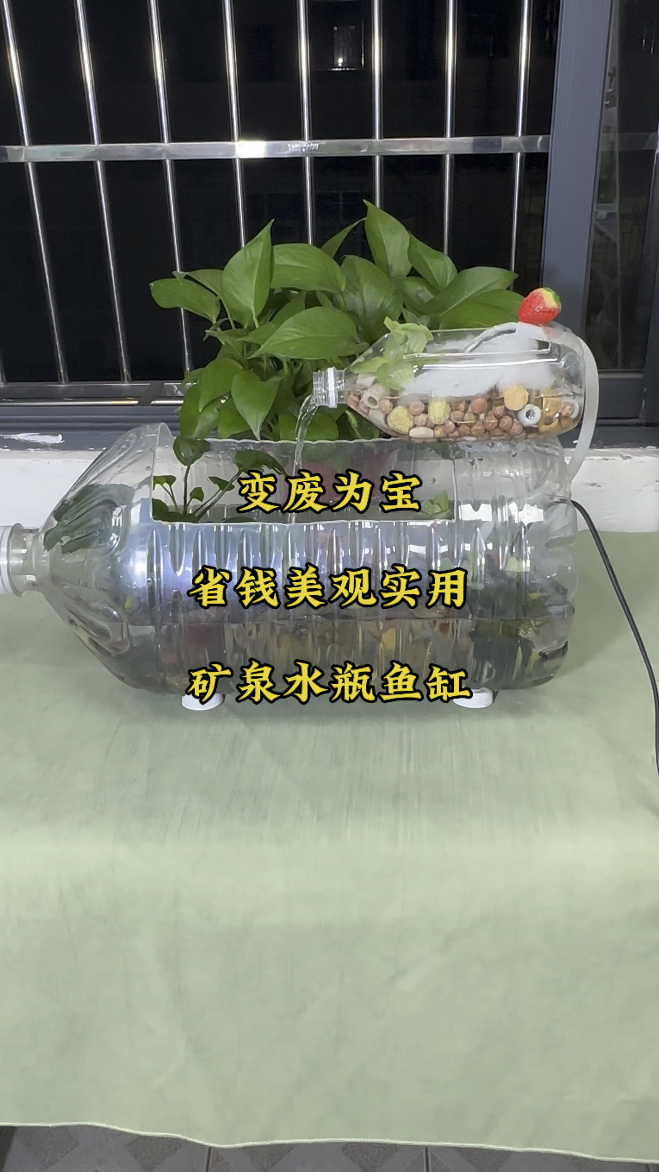 自制矿泉水瓶鱼缸,既美观实用又超级省钱,制作过程简单易懂,你也快点动手做起来吧!