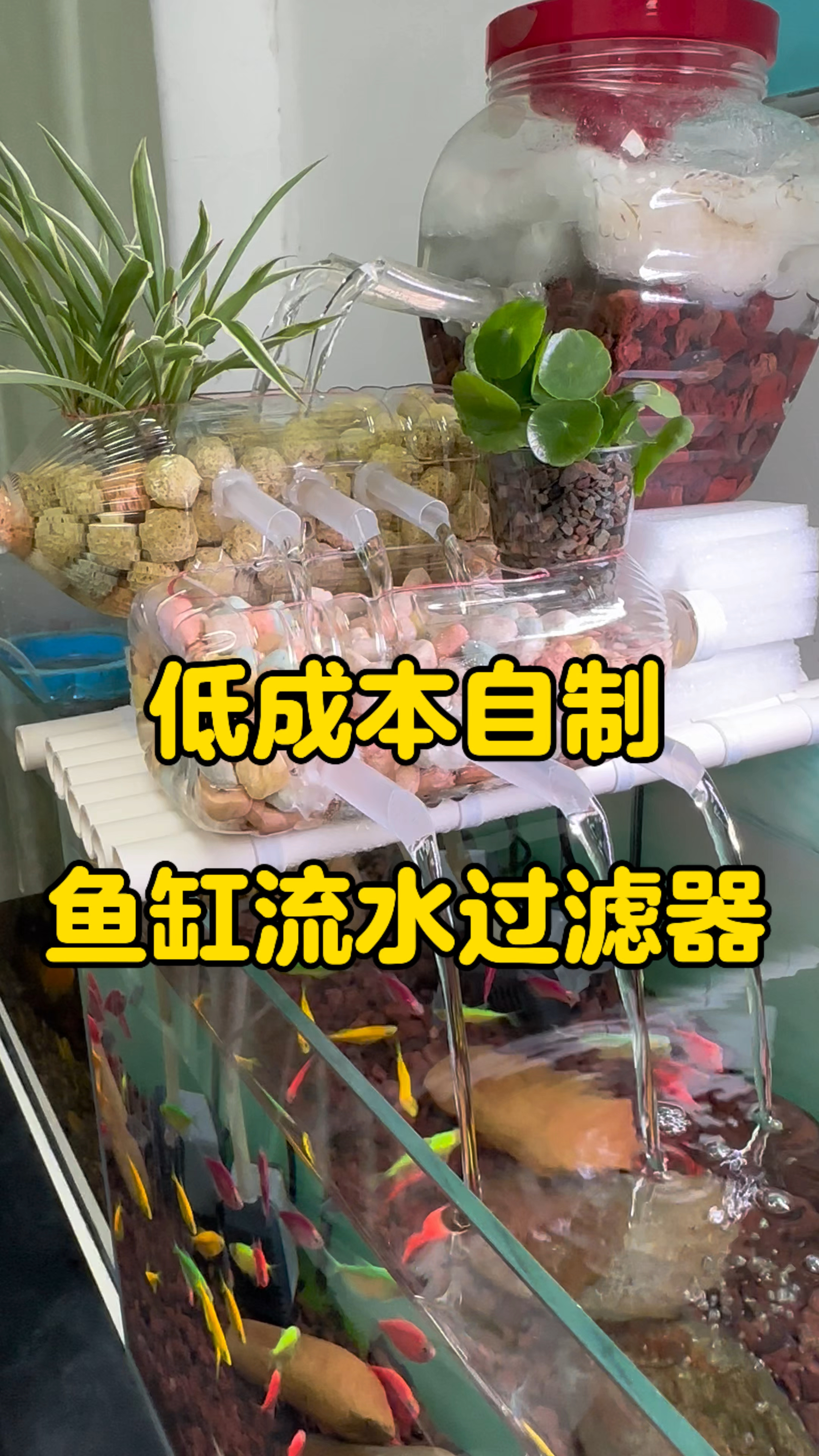 自制低成本鱼缸流水过滤器